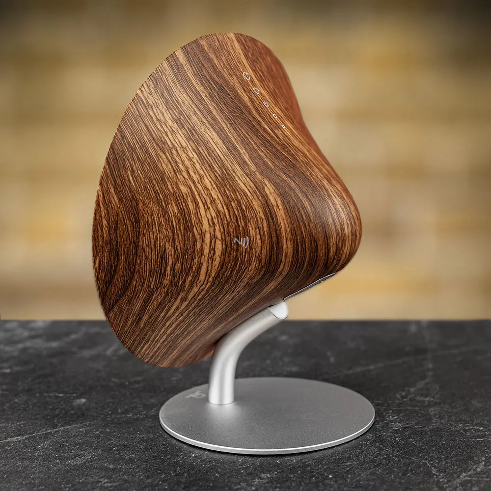 Gingko Design | Halo One Speaker Walnut by Weirs of Baggot Street