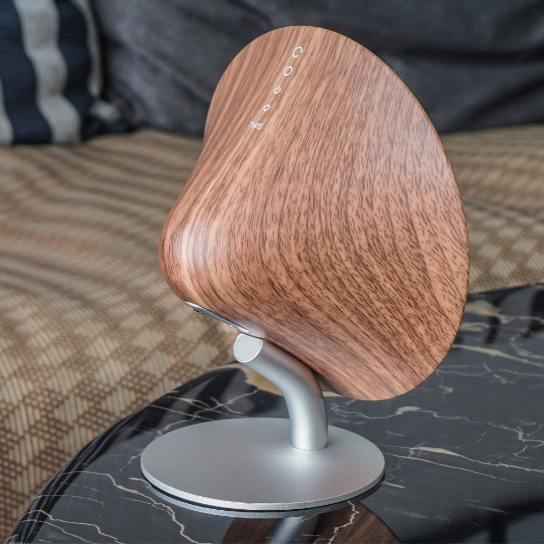 Gingko Design | Mini Halo One Speaker Walnut by Weirs of Baggot Street