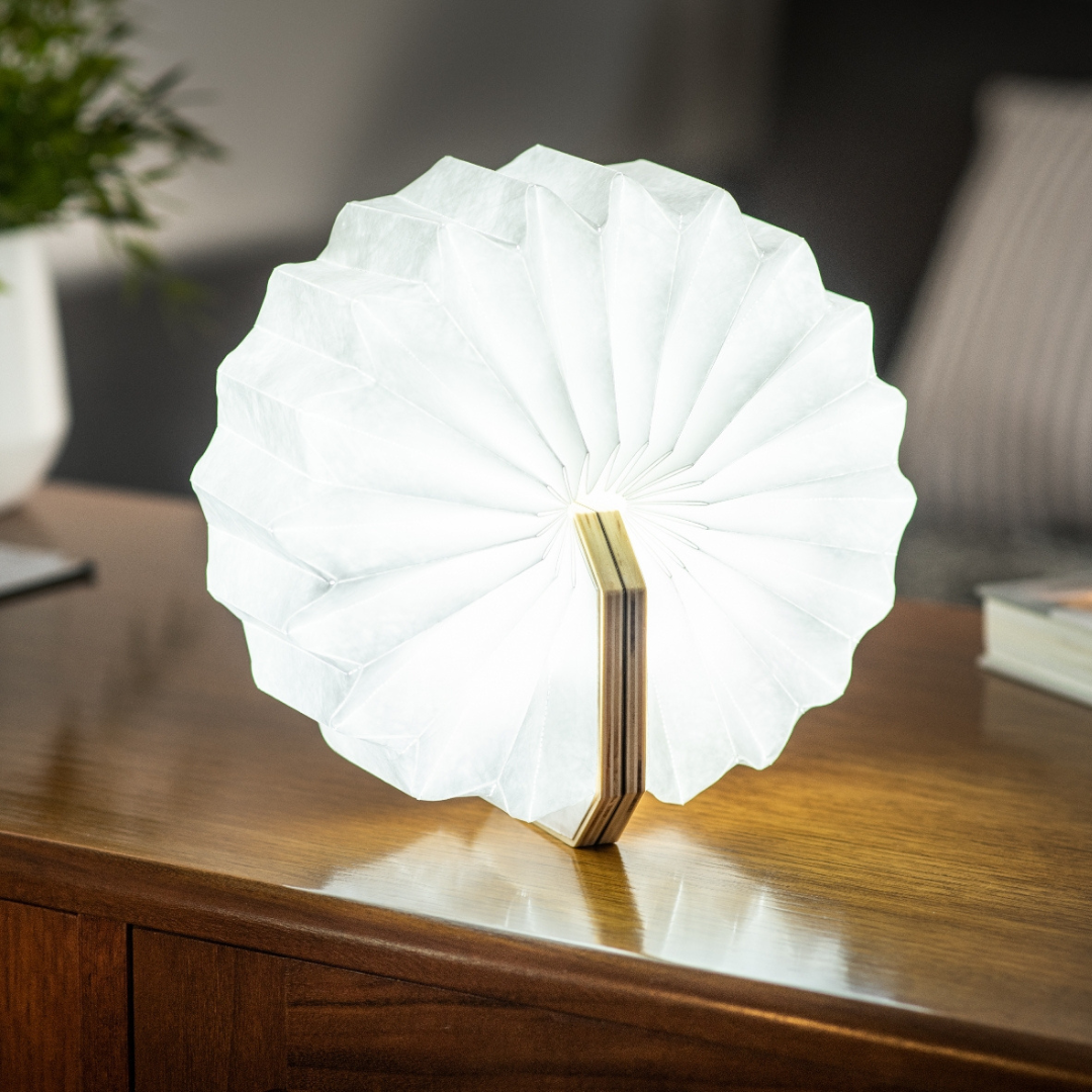 Gingko Design | Smart Accordion Lamp - Walnut Wood by Weirs of Baggot Street