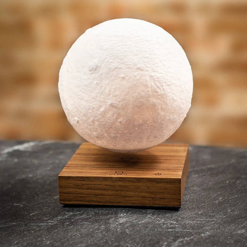 Gingko Design | Smart Moon Lamp Walnut Wood by Weirs of Baggot Street