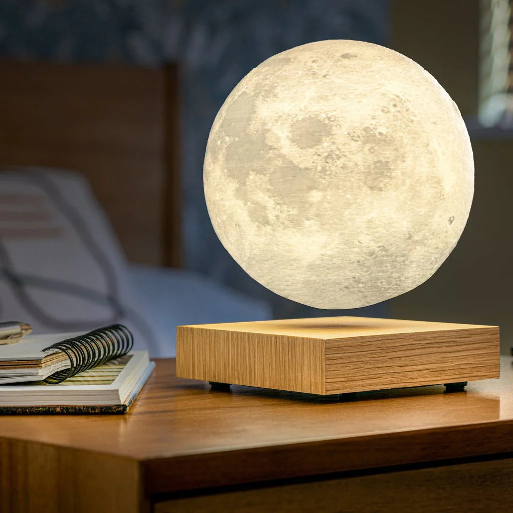 Gingko Design | Smart Moon Lamp Walnut Wood by Weirs of Baggot Street