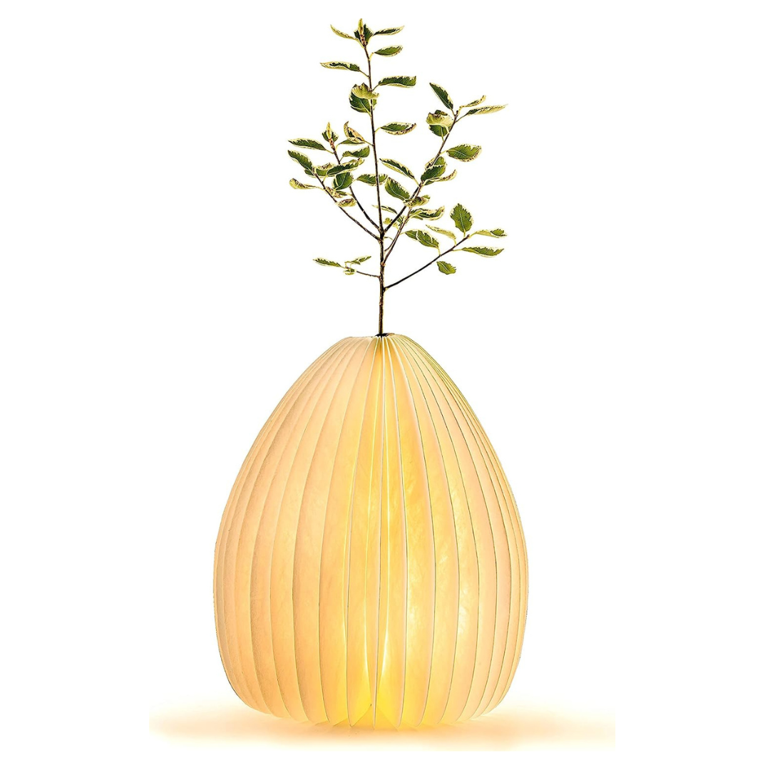 Gingko Design | Smart Vase Lamp Bamboo by Weirs of Baggot Street