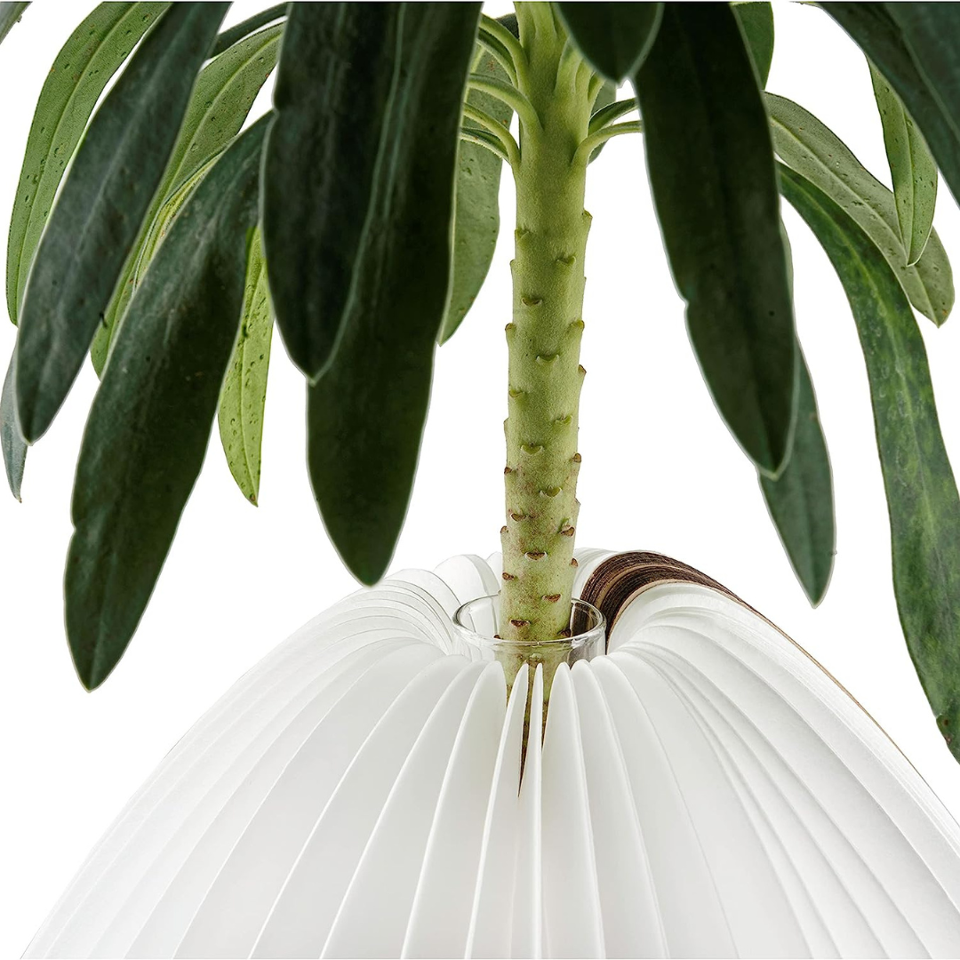 Gingko Design | Smart Vase Lamp Bamboo by Weirs of Baggot Street