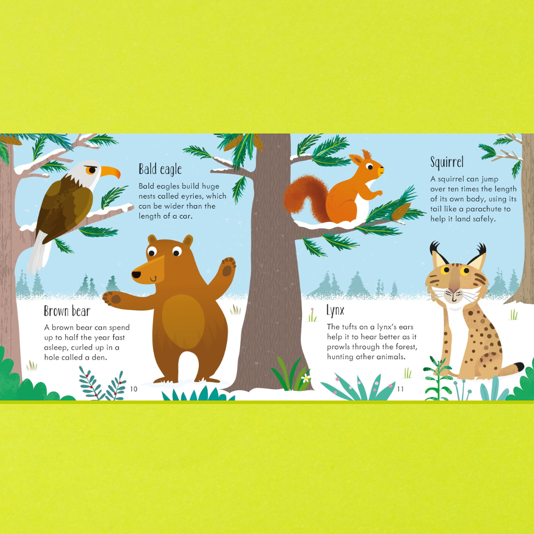 Little Bookworms | Usborne Animal Matching Games And Book by Weirs of Baggot Street