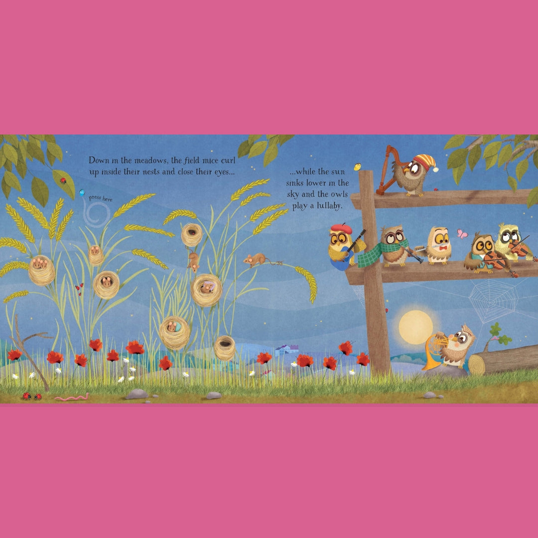 Little Bookworms _ Usborne Babys Bedtime Music Book by Weirs of Baggot Street