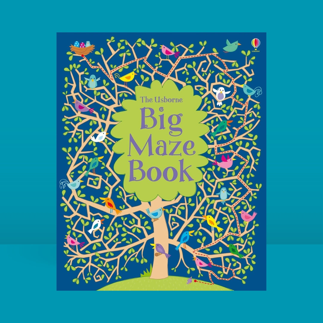 Little Bookworms _ Usborne Big Maze Book by Weirs of Baggot Street