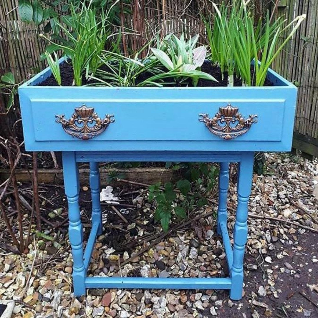 Ol' Blue Eyes Frenchic Paint Al Fresco Inside _ Outside Range by Weirs of Baggot Street Irelands Largest and most Trusted Stockist of Frenchic Paint. Shop online for Nationwide and Same Day Dublin Delivery