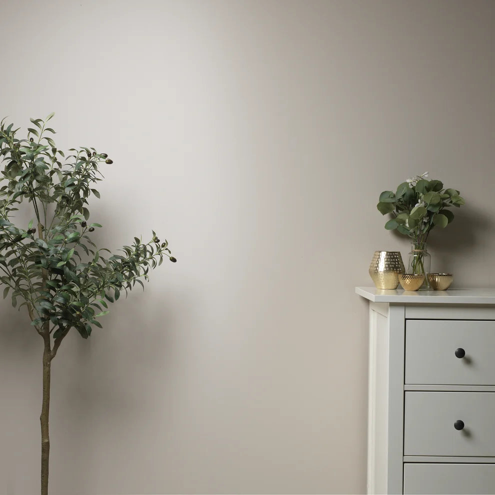 Frenchic Stone Rosie beige wall beside a leafy plant and chest of drawers