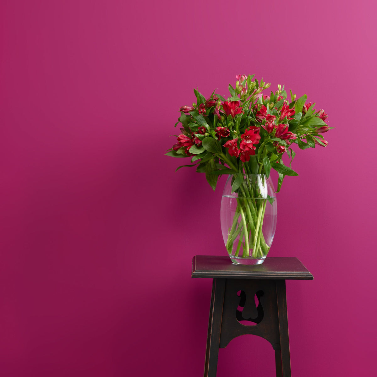 Plum Pudding - Peel and Stick Paint Sample