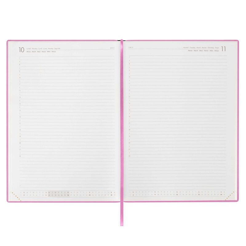 Stationery | Legami 12 Month Maxi Daily Diary 2025 Bubblegum by Weirs of Baggot Street