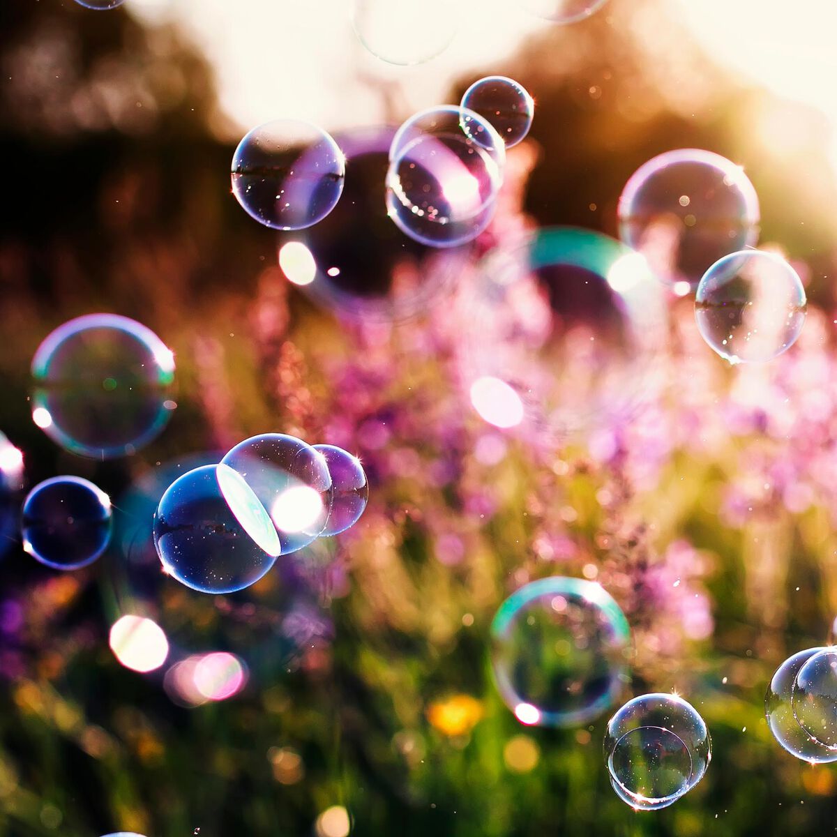 Summer Accessories - Legami Soap Bubbles - Panda /Dino /Unicorn /Space by Weirs of Baggot Street