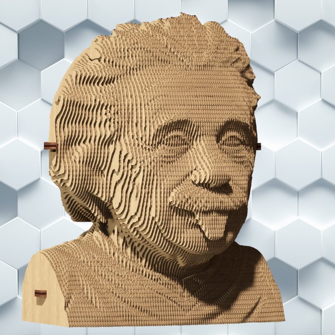 Cartonic 3D Cardboard Puzzle Albert Einstein | Fabulous Gifts by Weirs of Baggot Street