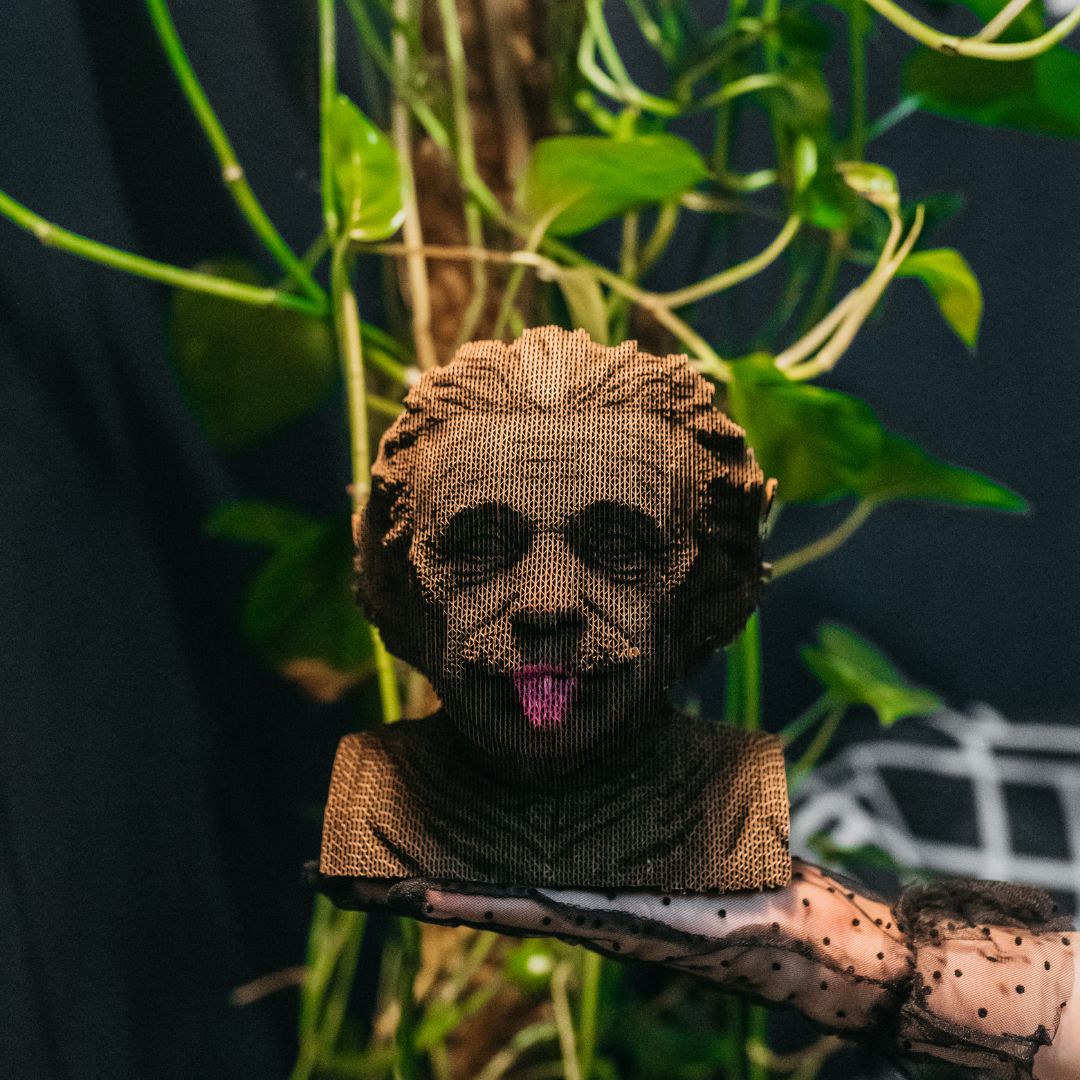 Cartonic 3D Cardboard Puzzle Albert Einstein | Fabulous Gifts by Weirs of Baggot Street