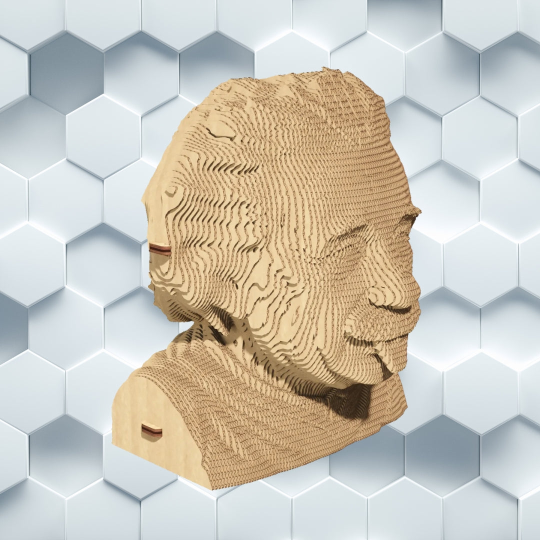 Cartonic 3D Cardboard Puzzle Albert Einstein | Fabulous Gifts by Weirs of Baggot Street