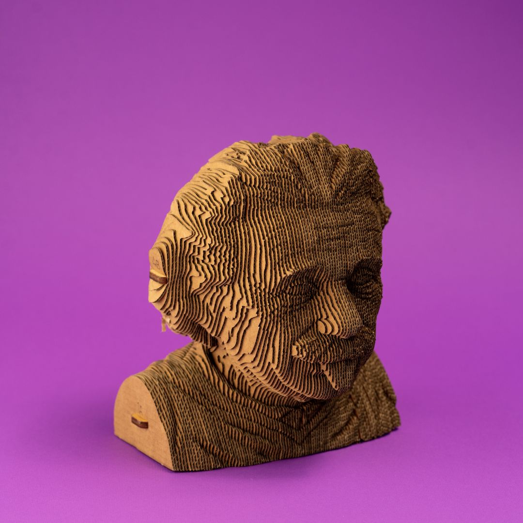 Cartonic 3D Cardboard Puzzle Albert Einstein | Fabulous Gifts by Weirs of Baggot Street
