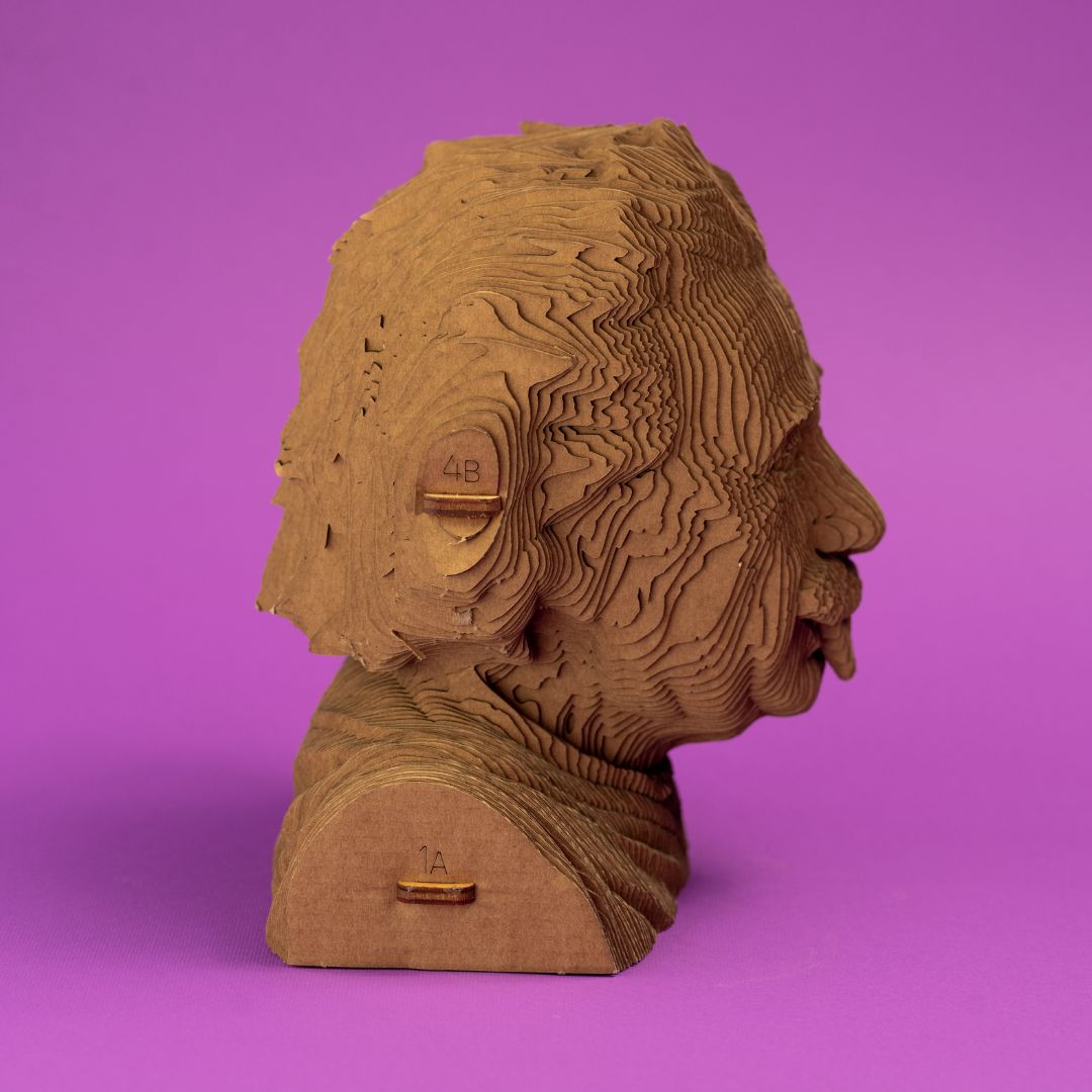Cartonic 3D Cardboard Puzzle Albert Einstein | Fabulous Gifts by Weirs of Baggot Street