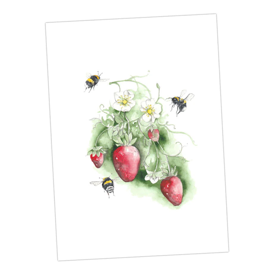 Crumble & Core | Bumble Bee 6pk Assorted Cards by Weirs of Baggot Street