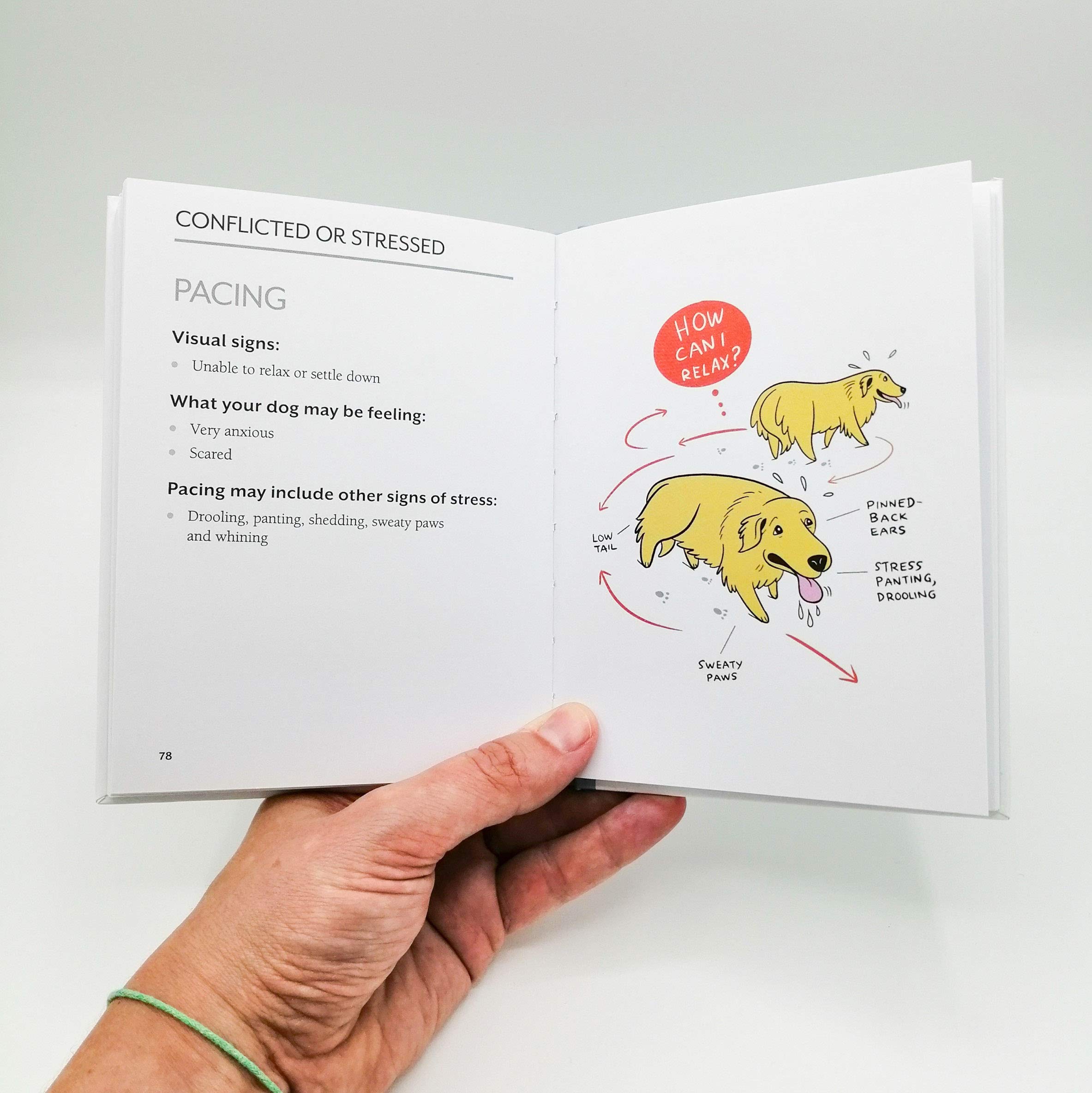 Brilliant Books | Doggie Language by Weirs of Baggot Street