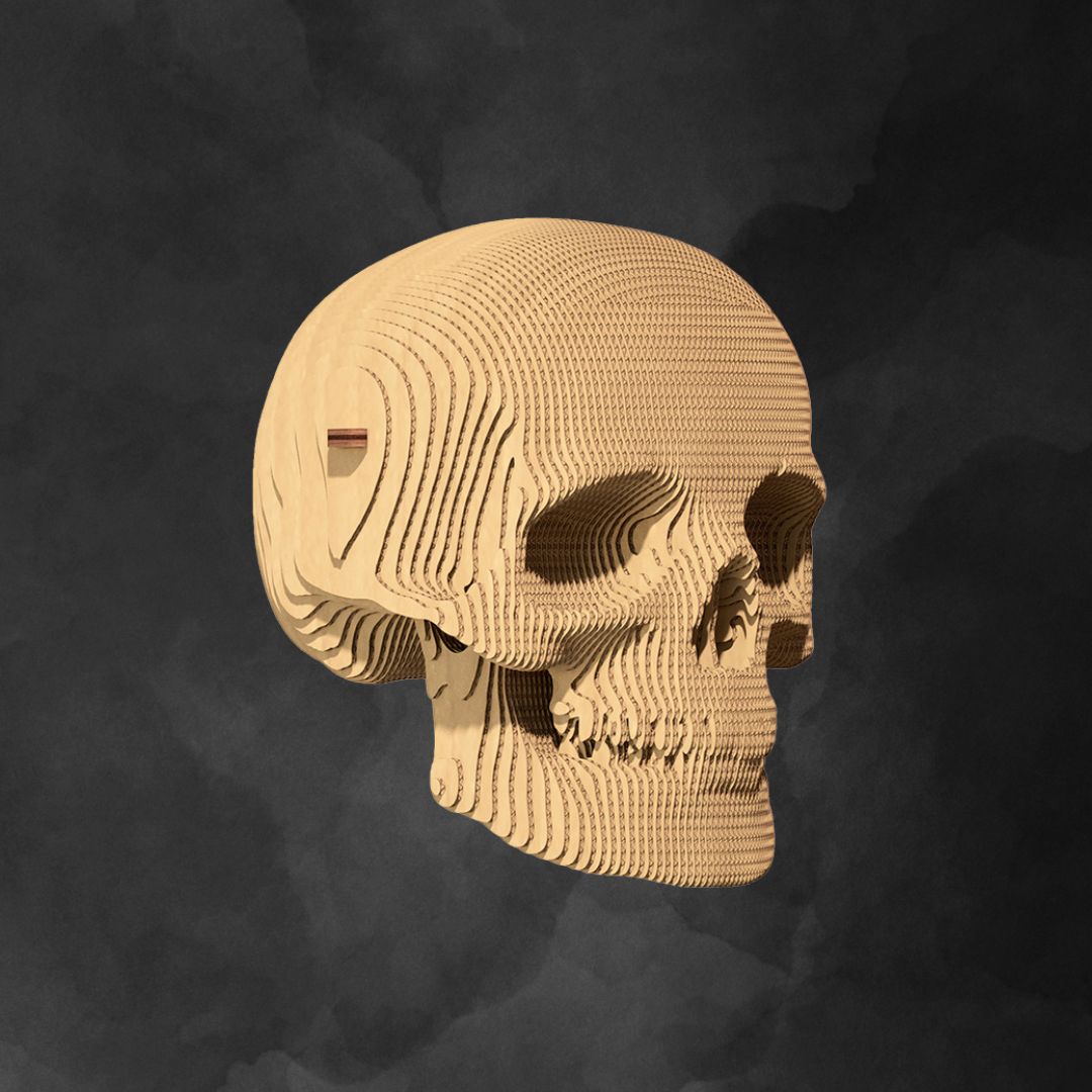 Fab Gifts | Cartonic 3D Cardboard Puzzle Skull by Weirs of Baggot Street