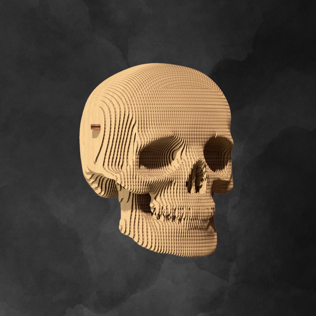 Fab Gifts | Cartonic 3D Cardboard Puzzle Skull by Weirs of Baggot Street