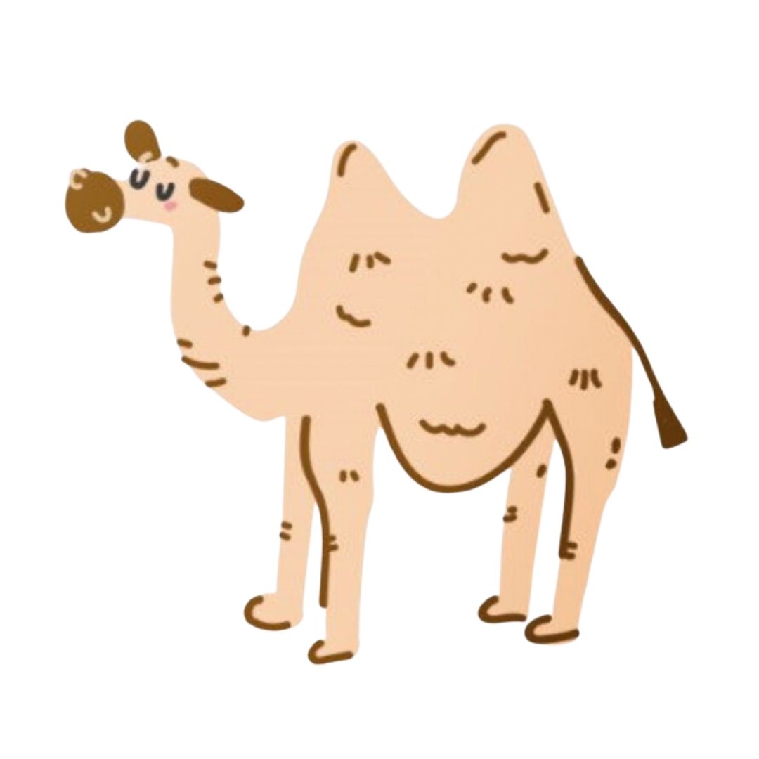 Fab Gifts | TSAR-Asian Animals Live AR Temporary Tattoo Set by Weirs of Baggot Street