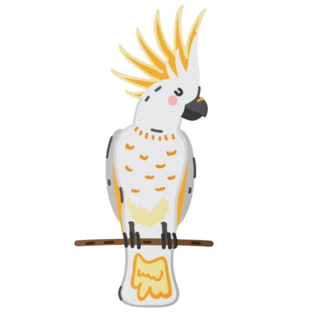 Fab Gifts | TSAR-Australian Animals Live AR Temporary Tattoo Set by Weirs of Baggot Street