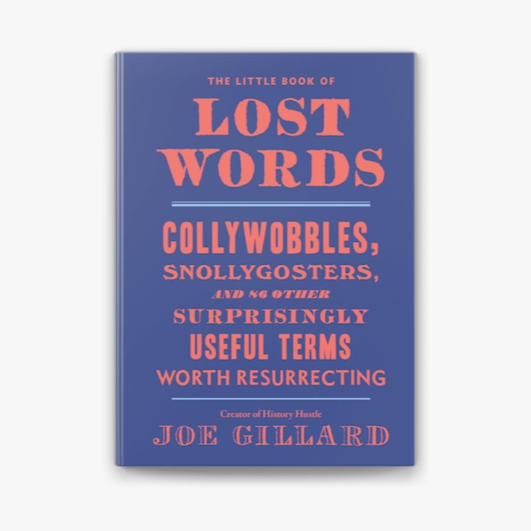 Little Book Of Lost Words - Joe Gillard - Brilliant Books by Weirs of Baggot Street