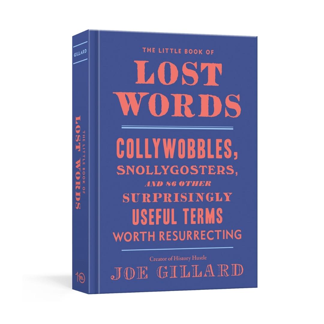 Little Book Of Lost Words - Joe Gillard - Brilliant Books by Weirs of Baggot Street