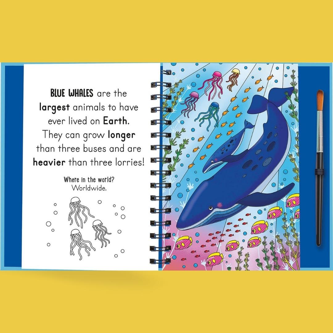 Magic Water Colouring - Splish and Splash Under The Sea - Little Bookworms by Weirs of Baggot Street