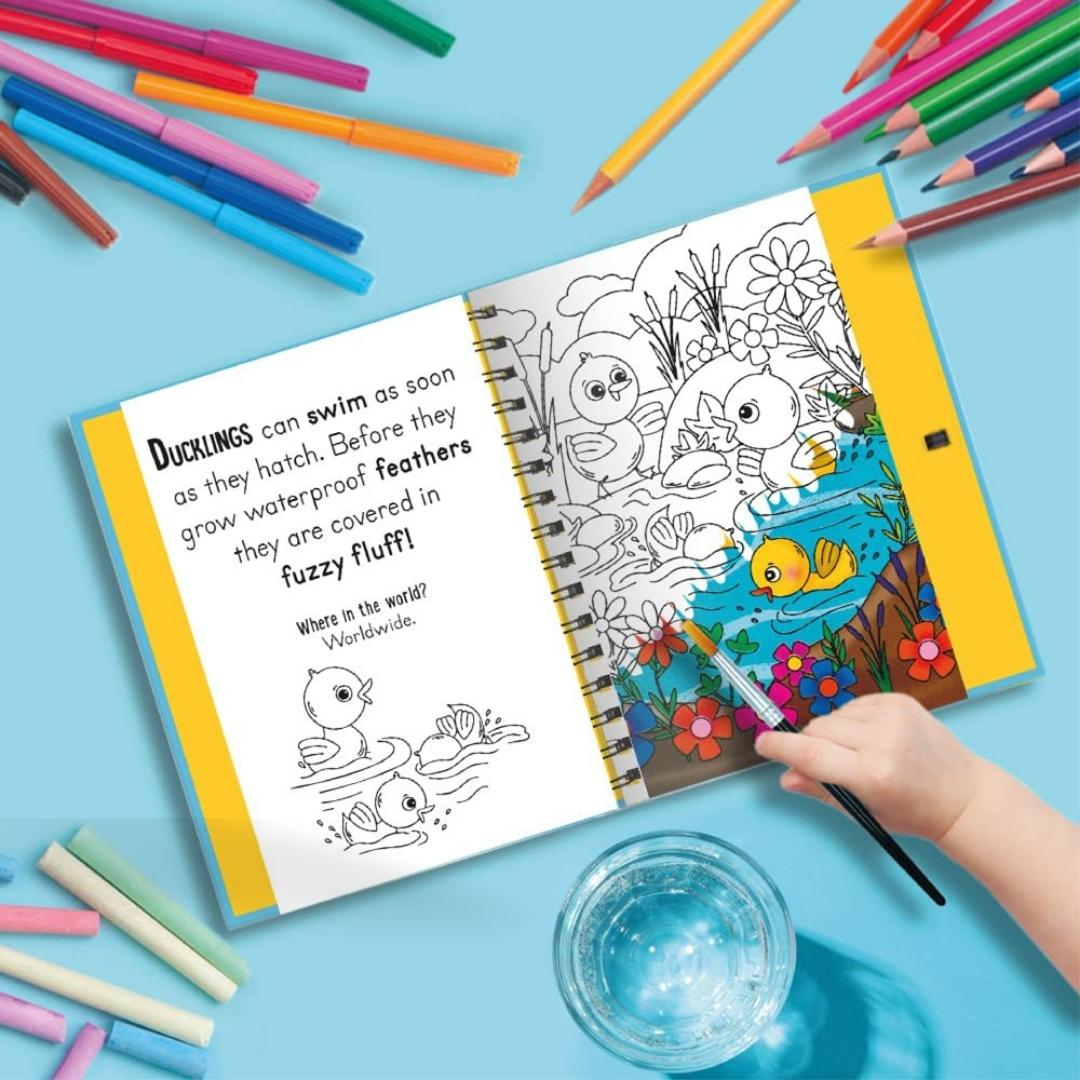 Magic Water Colouring - Woof and Meow Baby Animals - Little Bookworms by Weirs of Baggot Street