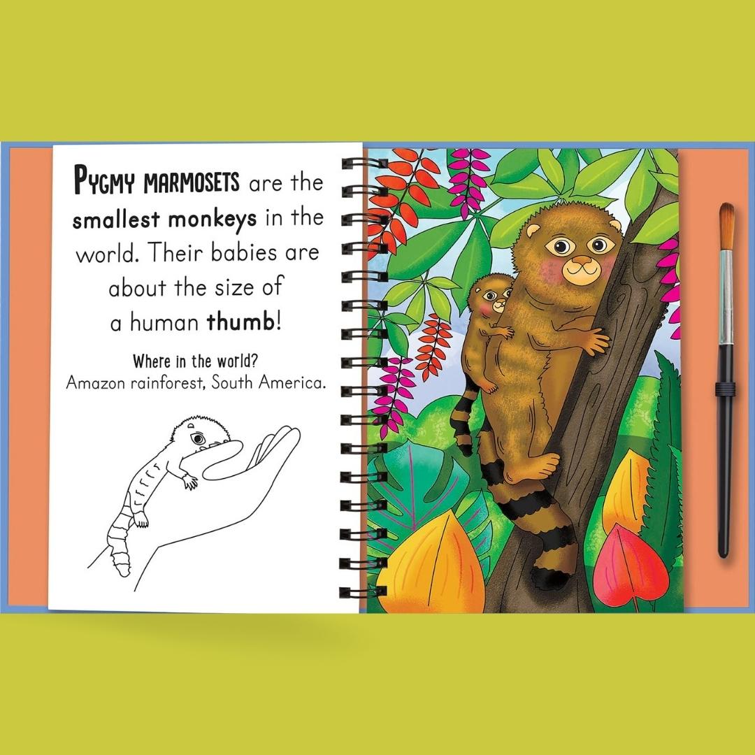 Magic Water Colouring - Woof and Meow Baby Animals - Little Bookworms by Weirs of Baggot Street