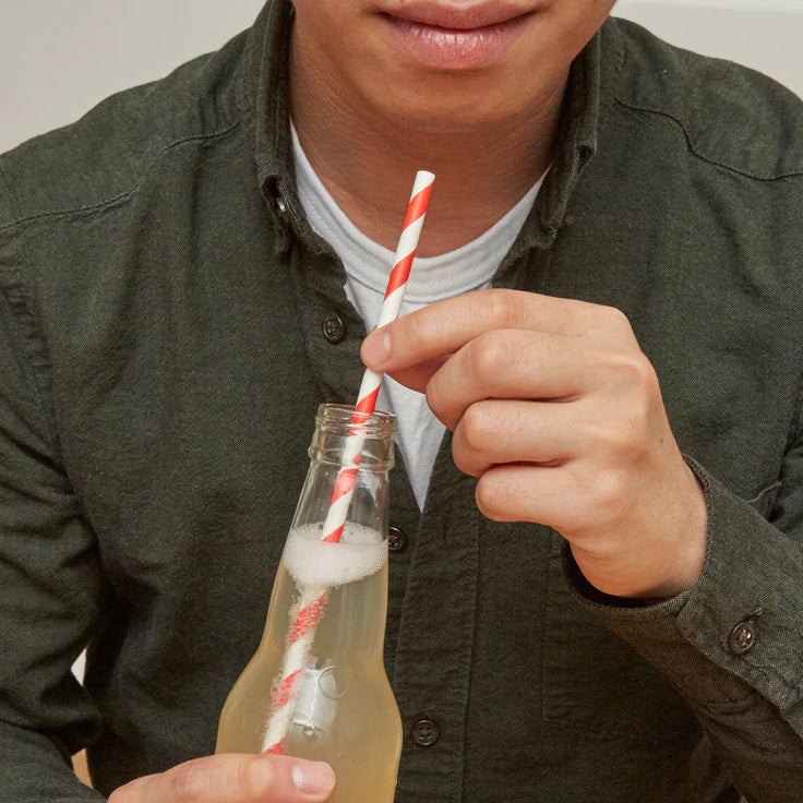 Red Stripe Paper Straws