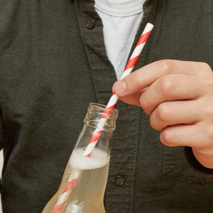 Red Stripe Paper Straws