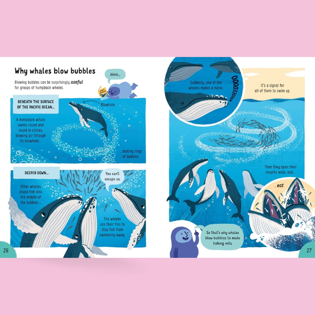 Usborne Lots of Things to Know About Animals - Little Bookworms by Weirs of Baggot Street